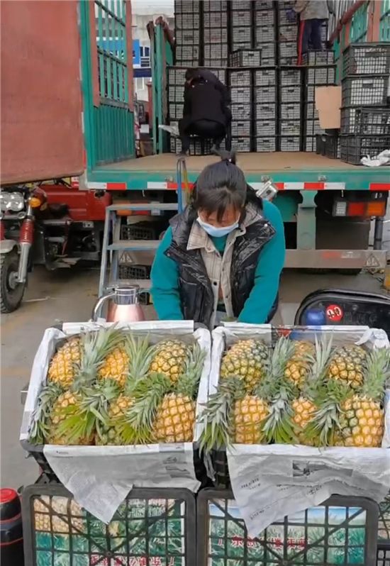 【新春走基層】“網紅村委會主任”虎年首批菠蘿熱銷西安