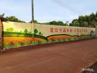 徐闻：手绘墙画为美丽乡村增色添彩