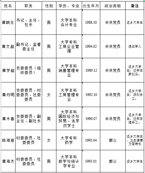 村里那几名年轻干部