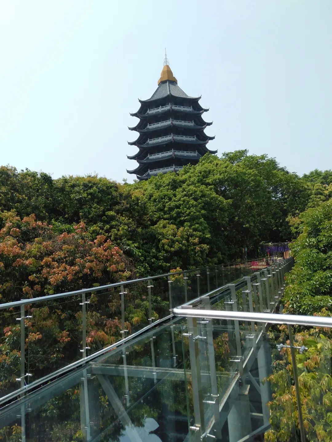 谢鞋山旅游风景区门票图片