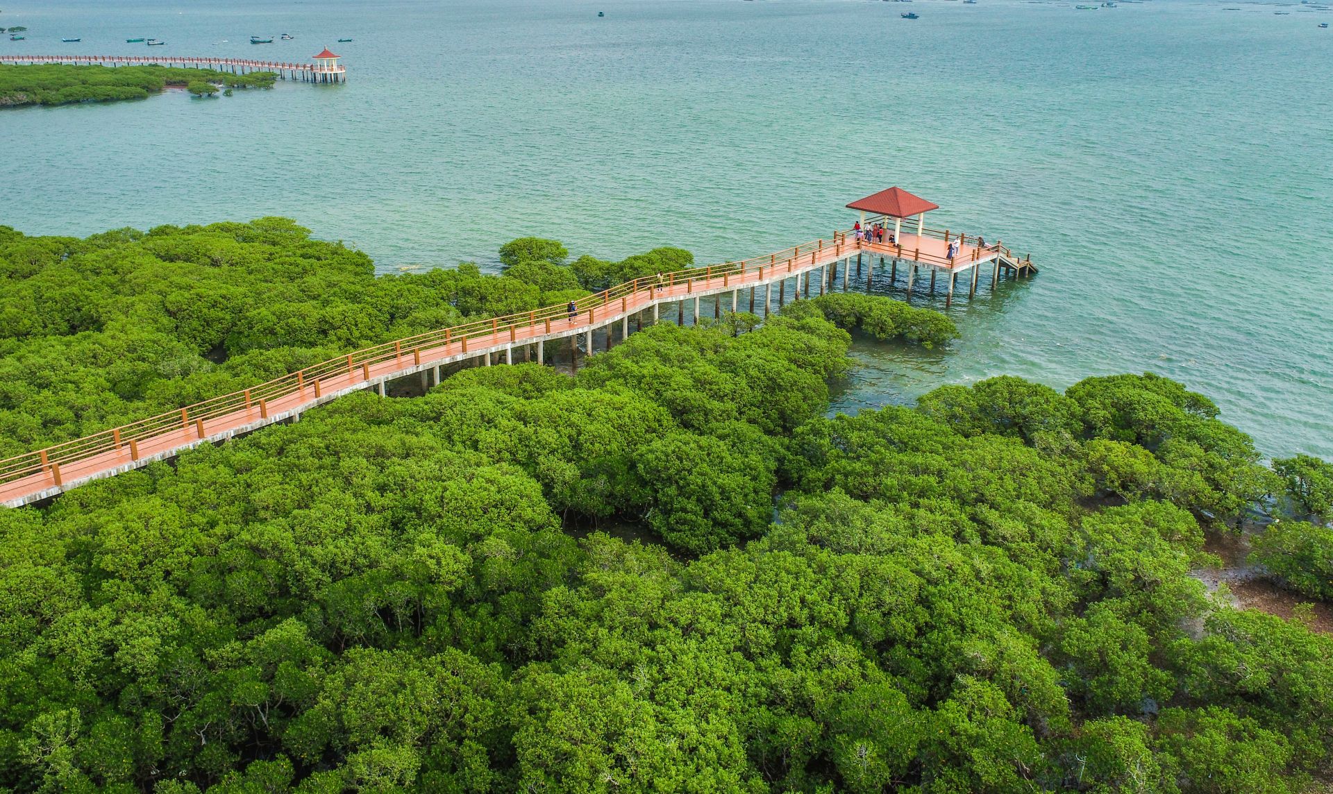 《湛江红树林》音乐短片机场首播"飞"向全国