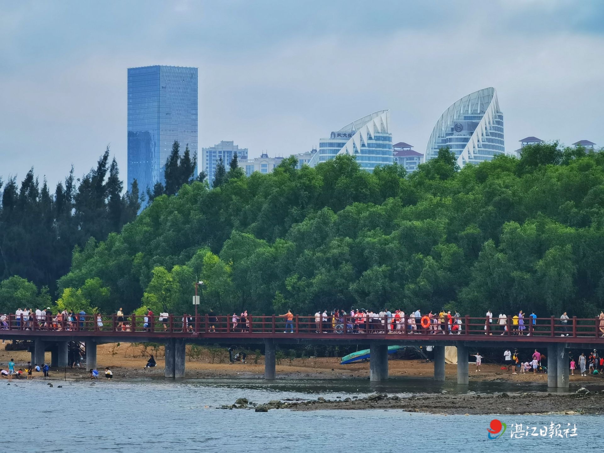 北海金海湾红树林景区图片