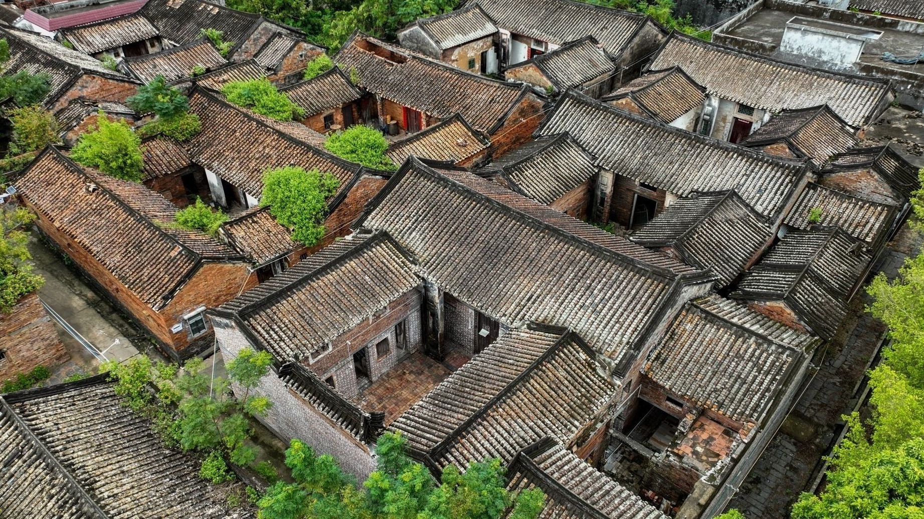 古跡生輝東林村
