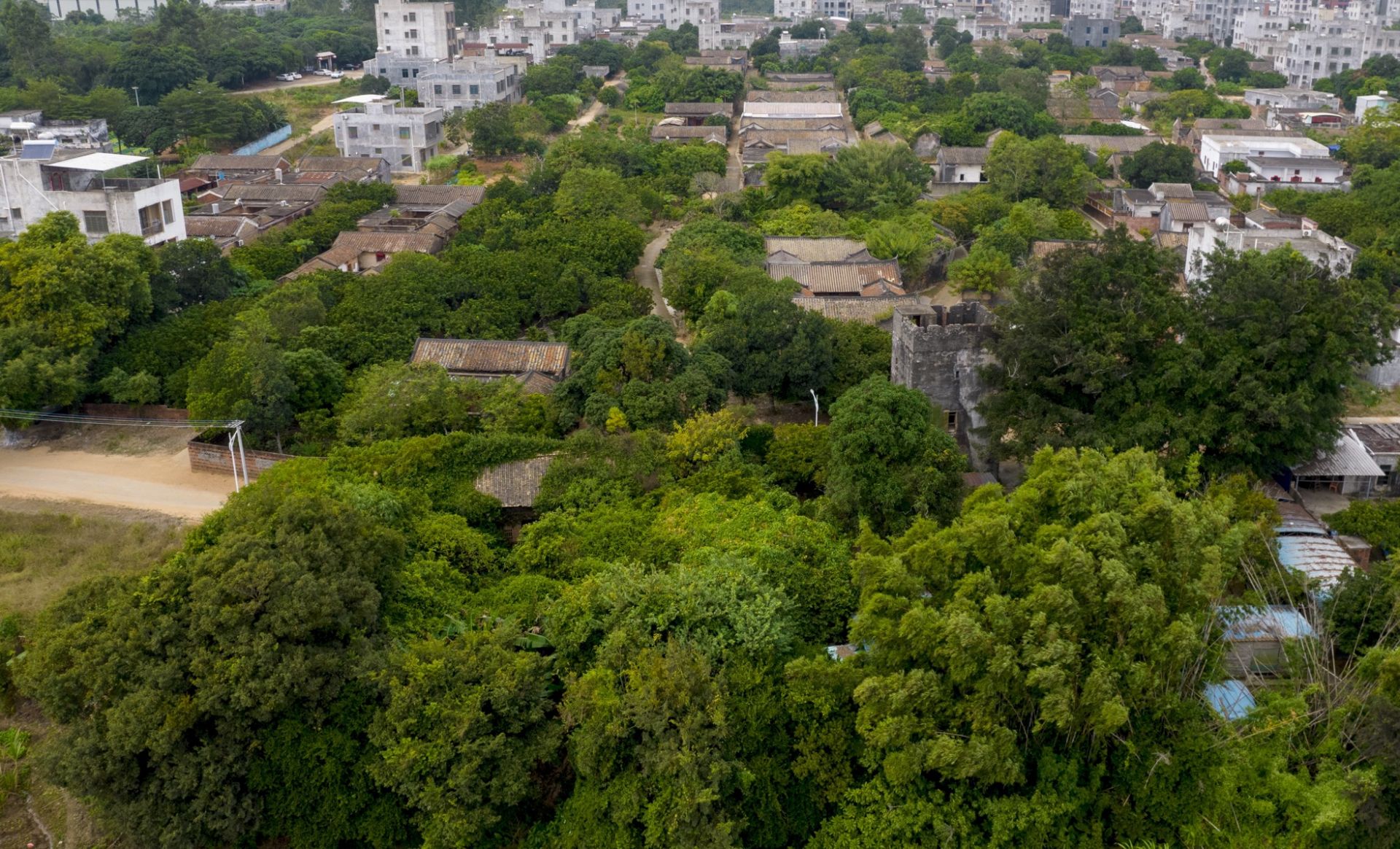 邦塘村：綠叢中的古民居博物館