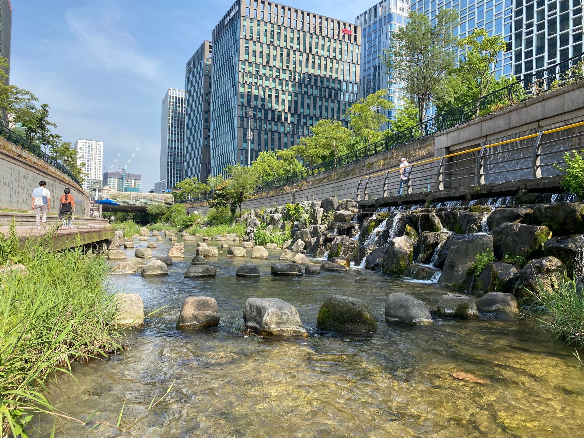 国际生物多样性日，湛江日报记者实地走访河流生态修复典范项目——韩国清溪川