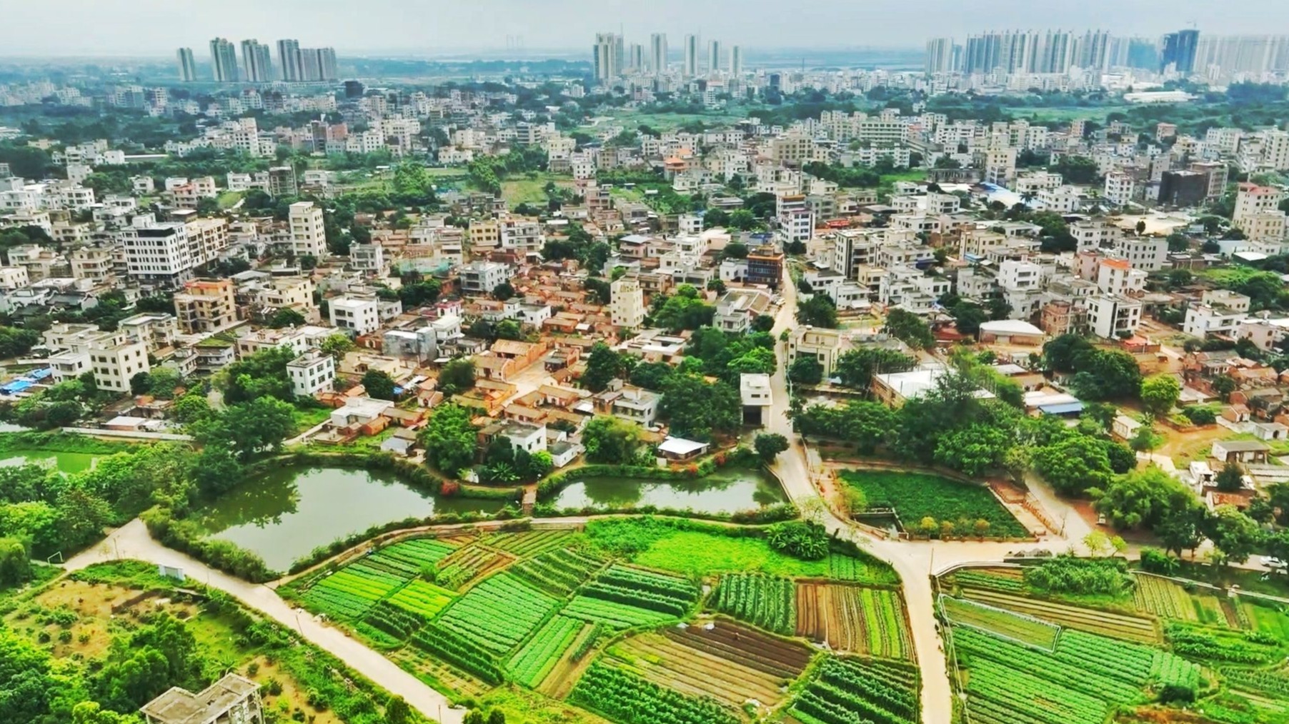 赤坎区北桥街道丰厚村：打造“红色＋生态”美丽乡村