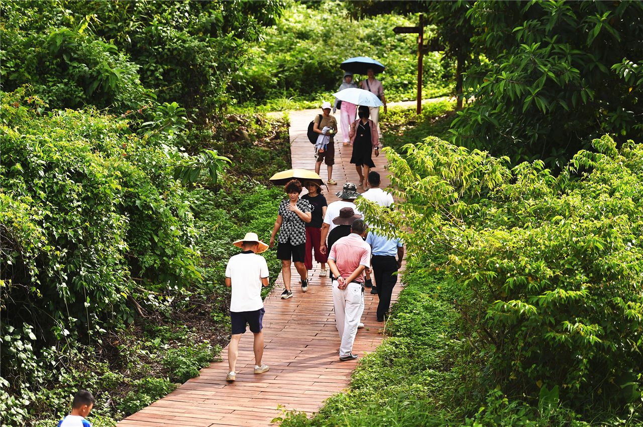 雷州市調風鎮(zhèn)：加快建設現(xiàn)代化嶺南新鄉(xiāng)村 激活農(nóng)文旅特色小鎮(zhèn)新動能