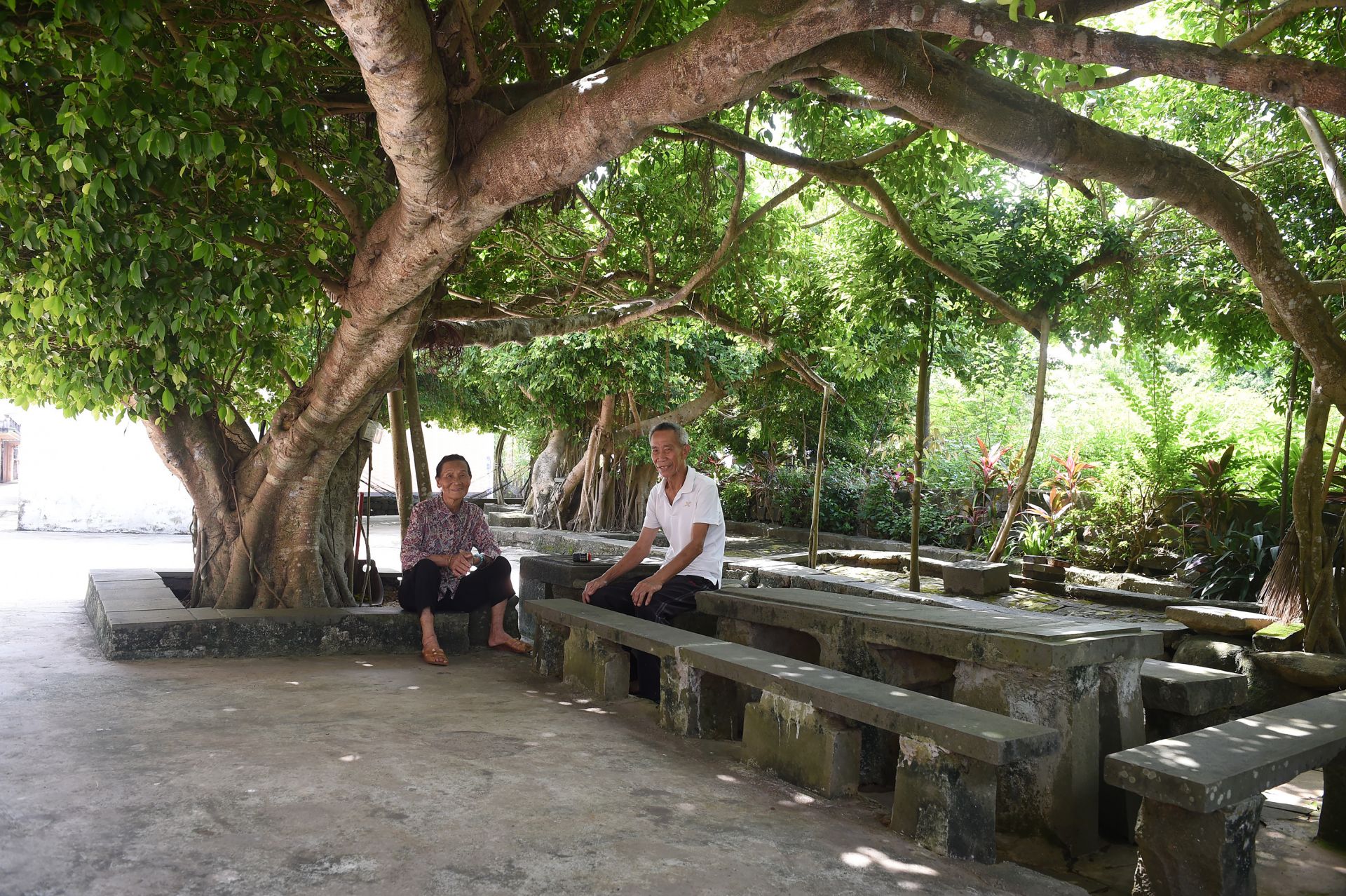 雷州市雷高鎮(zhèn)大群村：建設(shè)“美麗庭院” 培育“百千萬工程”典型村