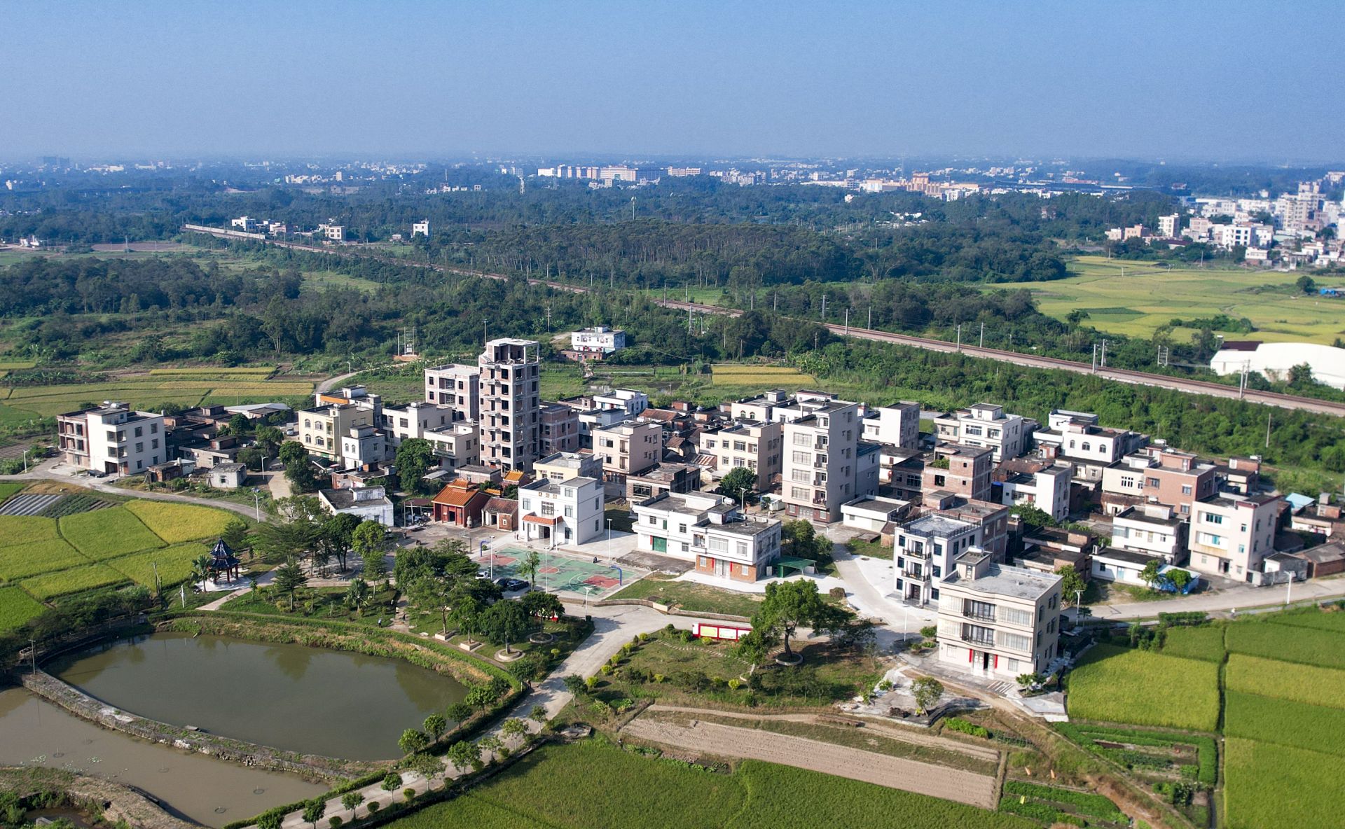 廉江市平坡仔村設(shè)月度衛(wèi)生日