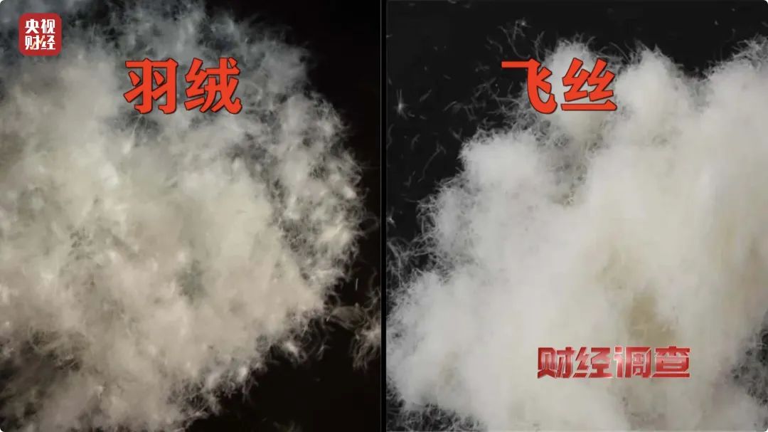 开云(中国)
