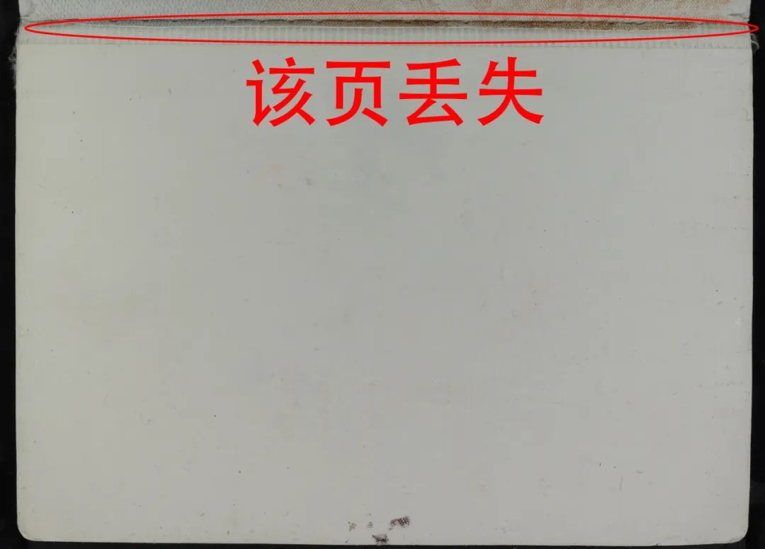 开云(中国)