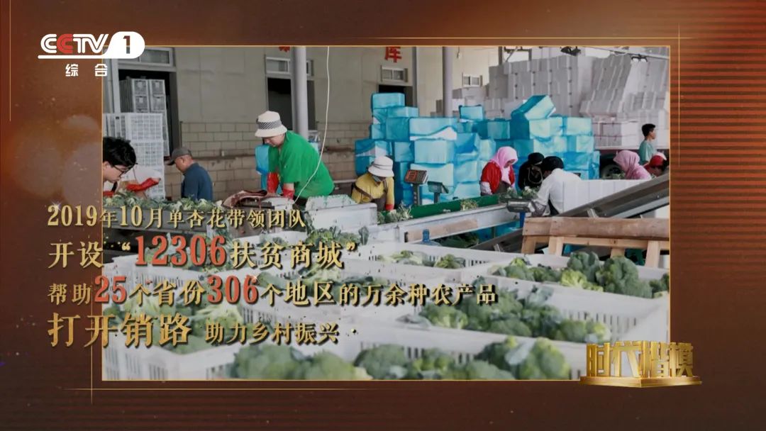 开云(中国)