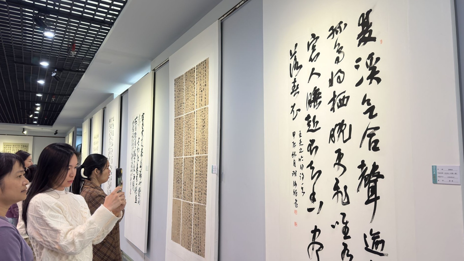 全國(guó)中青年書法家作品展在湛江書畫院展出