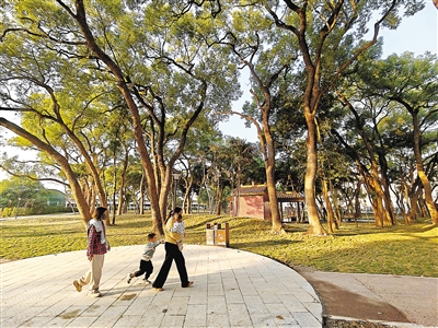 廉江城北香樟公園啟用