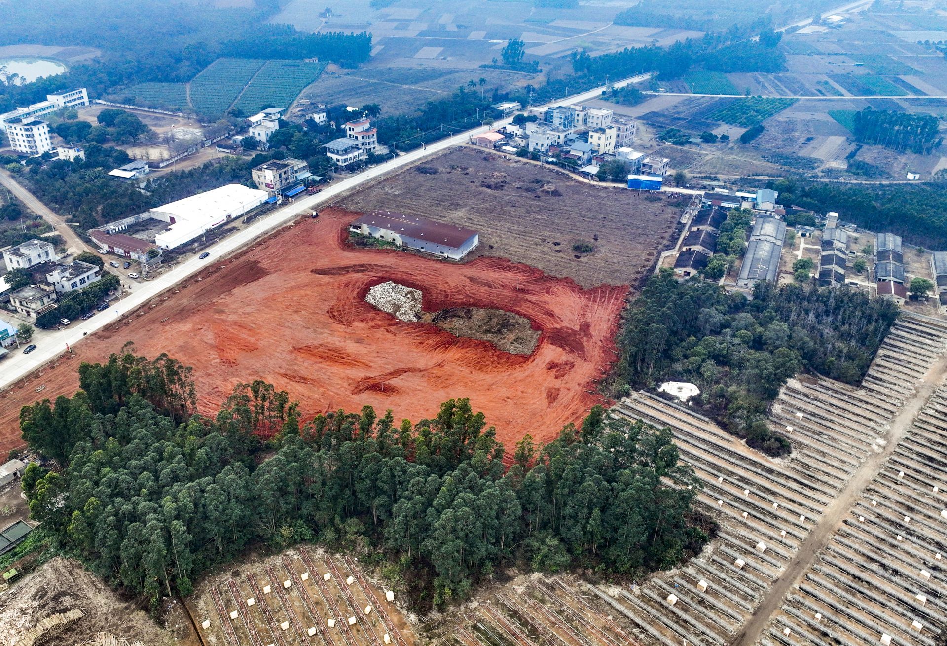 遂溪界炮鎮(zhèn)開展綠化行動 助力鄉(xiāng)村振興與風(fēng)貌提升