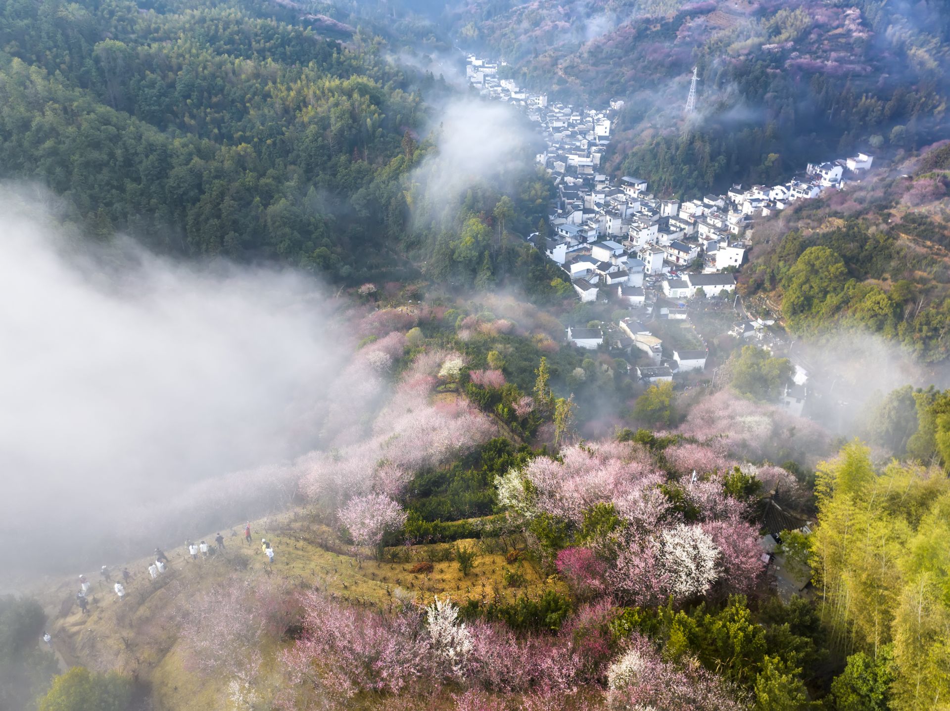 安徽黃山：賣(mài)花漁村梅花開(kāi)