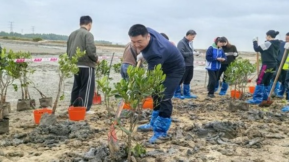 中交四航局三公司為生態(tài)湛江充“植”