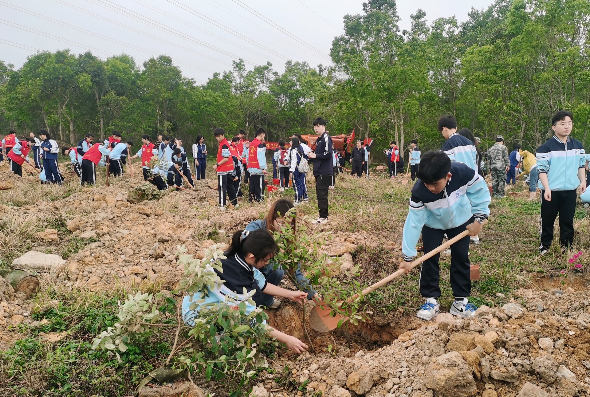 “植”此希望殘健攜手共繪湛江生態(tài)新綠景