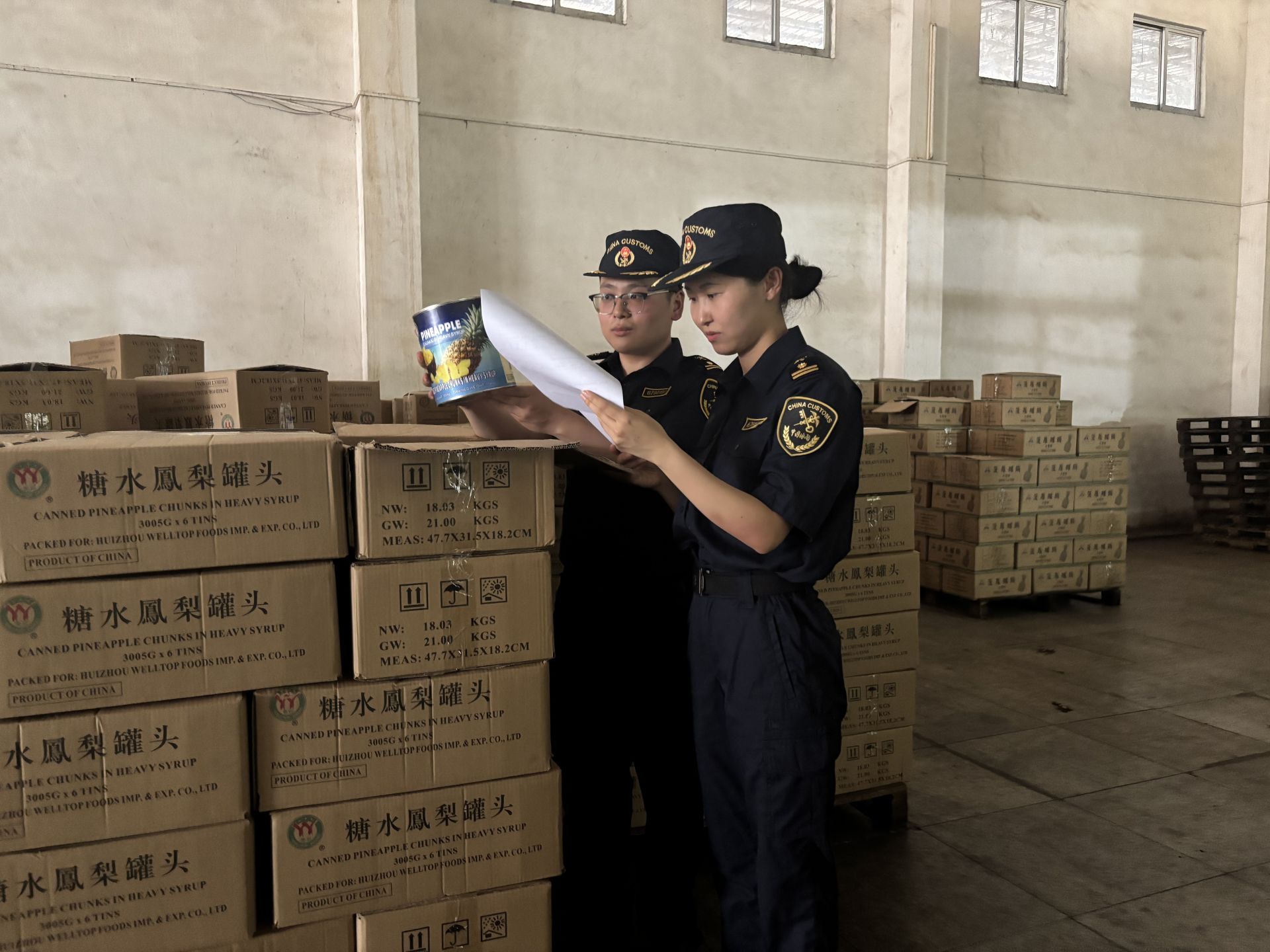菠萝鲜果换“新装” “黄金果”变出口“香饽饽”