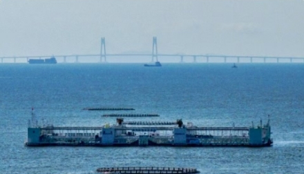 陸海統籌 向海圖強——廣東海洋經濟破浪前行