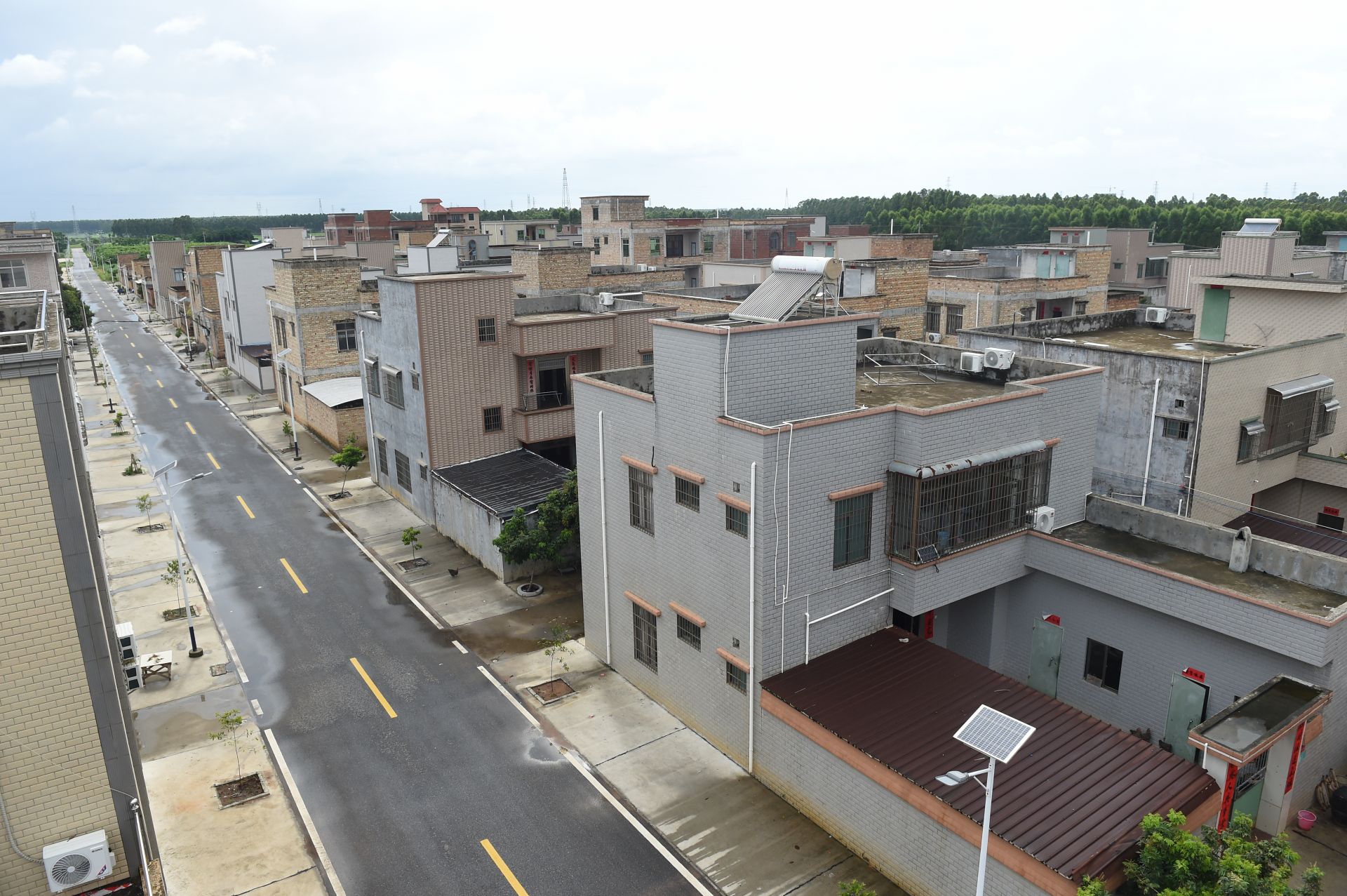 遂溪杨柑镇“典型村”建设多点开花