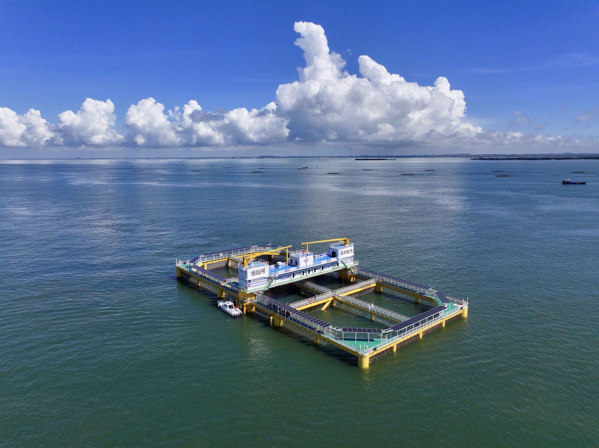 拓海而行 向海而强 打造“海上新湛江”