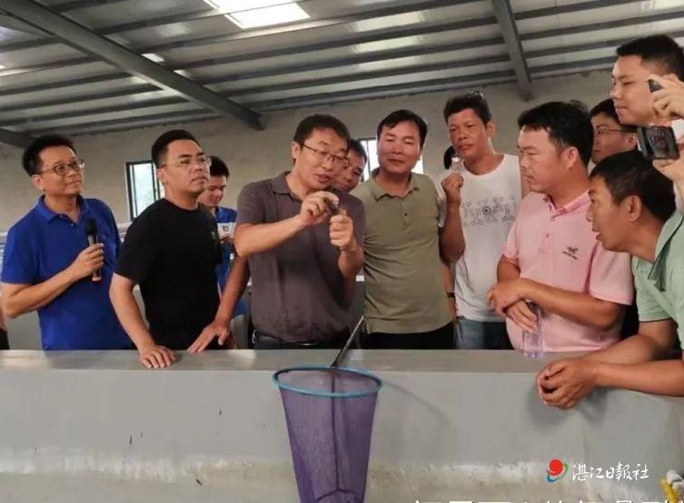 “对虾专家”深入虾塘指导虾农破解养虾难题