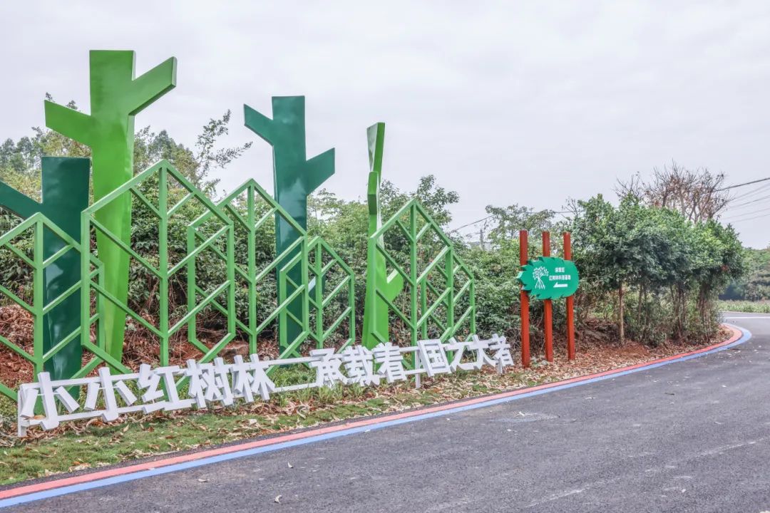 选p4.jpg