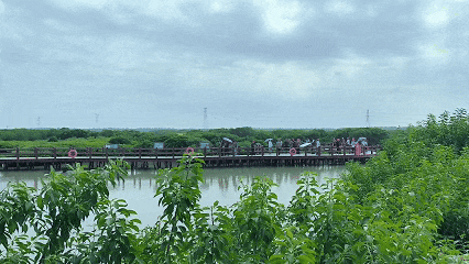6月17日(4).gif