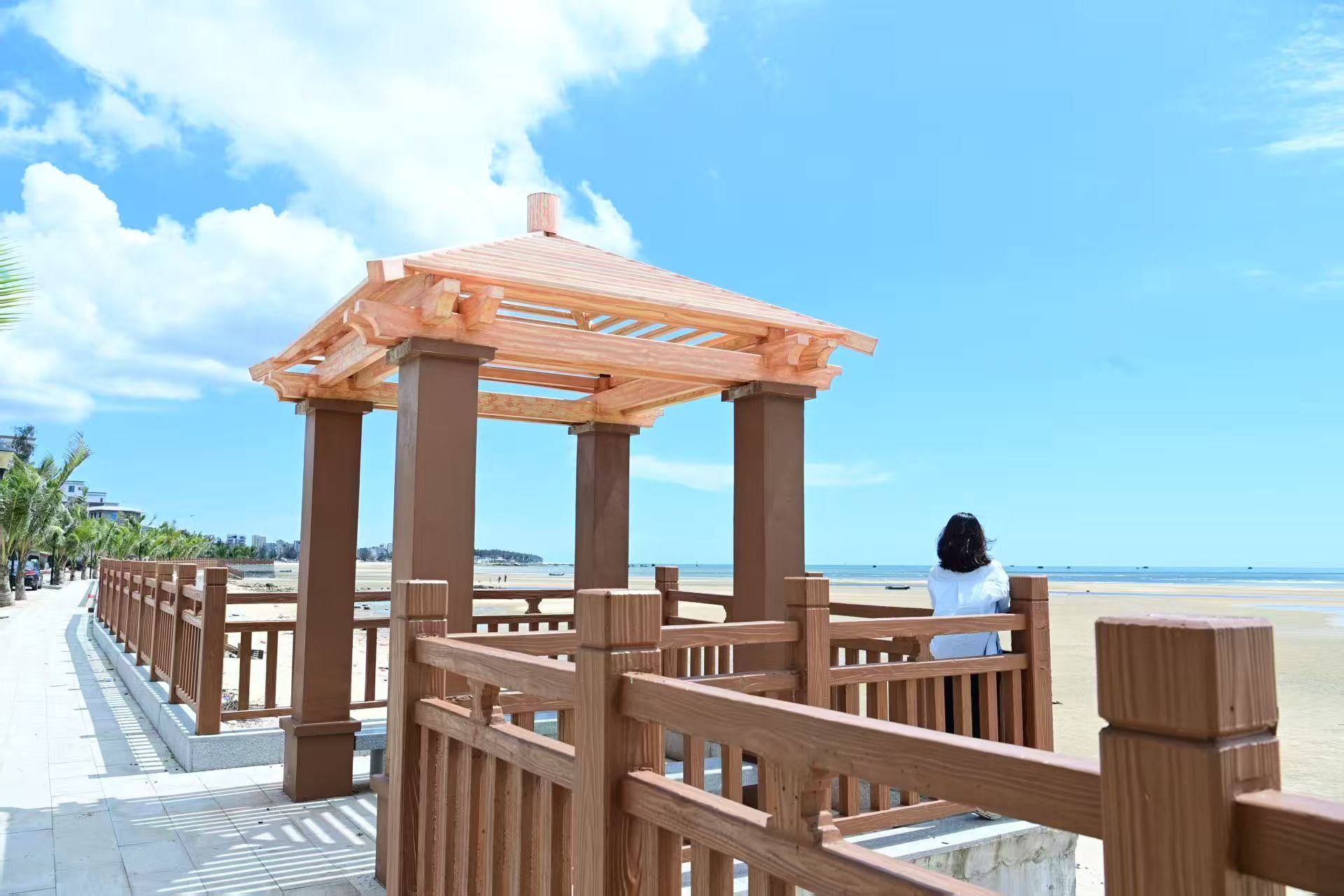 遂溪江洪肚村的“海防线”变身“风景线”