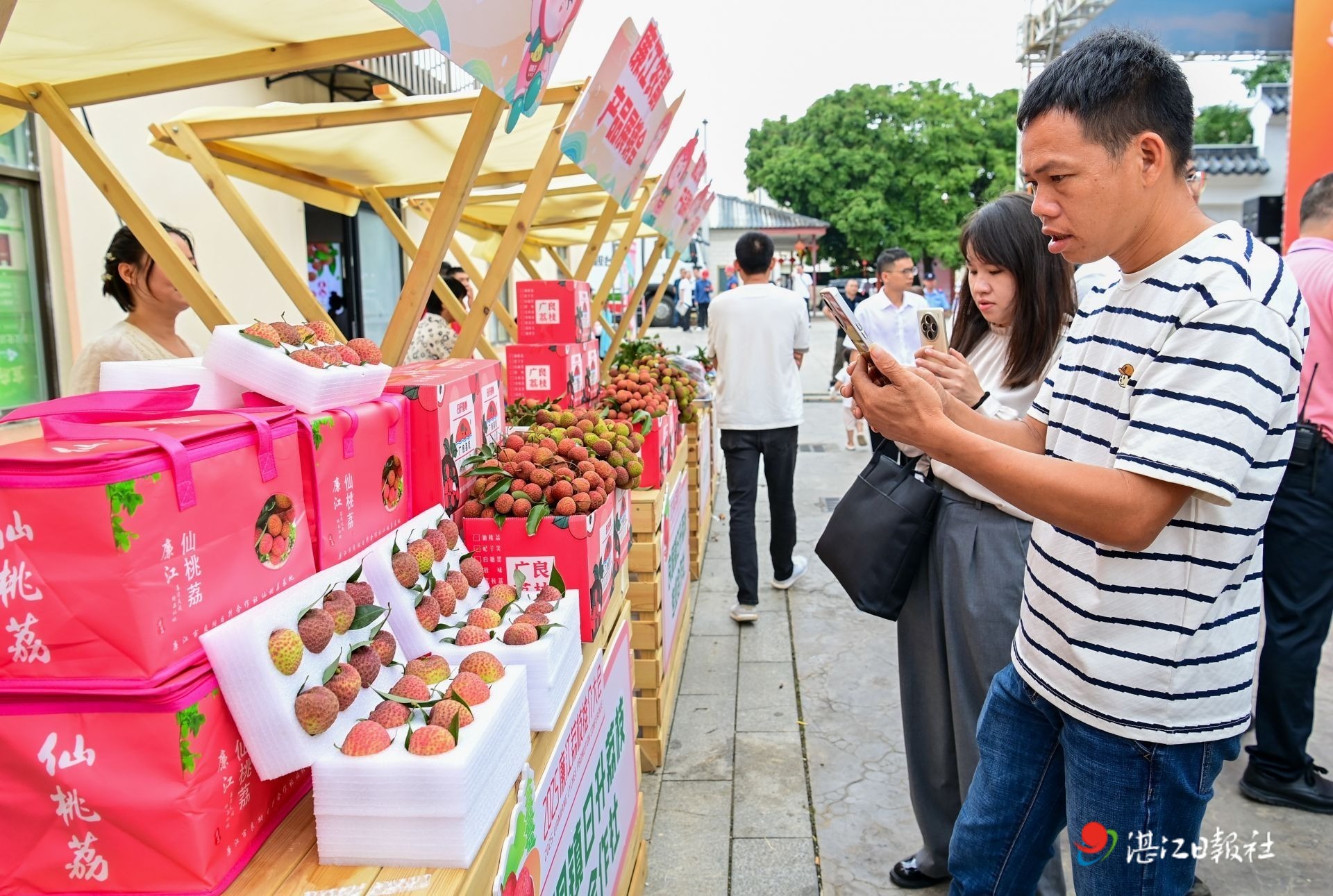 廉江仙桃荔首次大批挂果上市