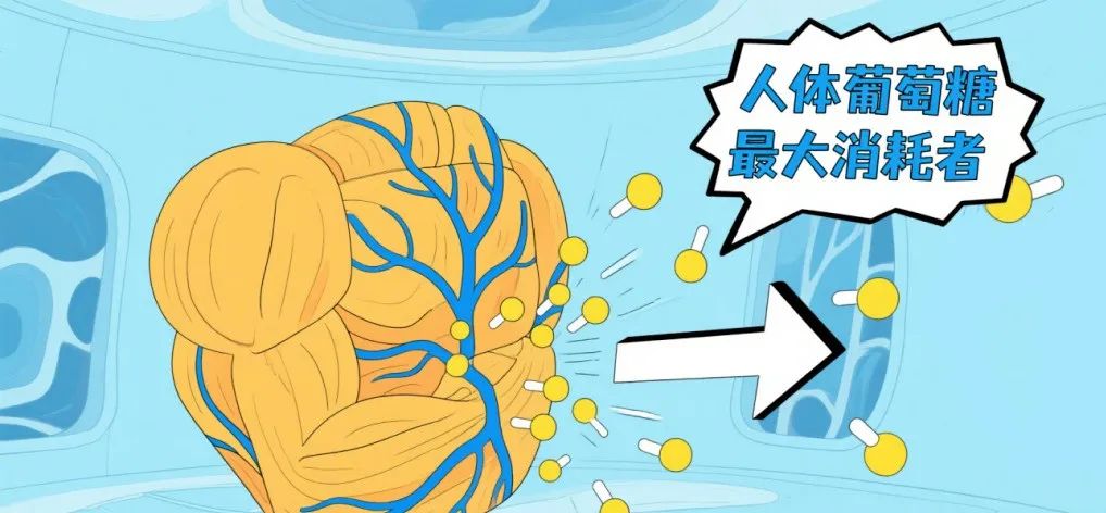 图片风格转换 (38).png
