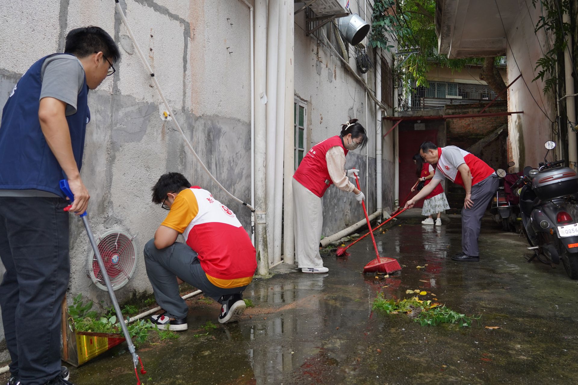 全市约5.2万名干群齐行动  合力清除蚊虫孳生地