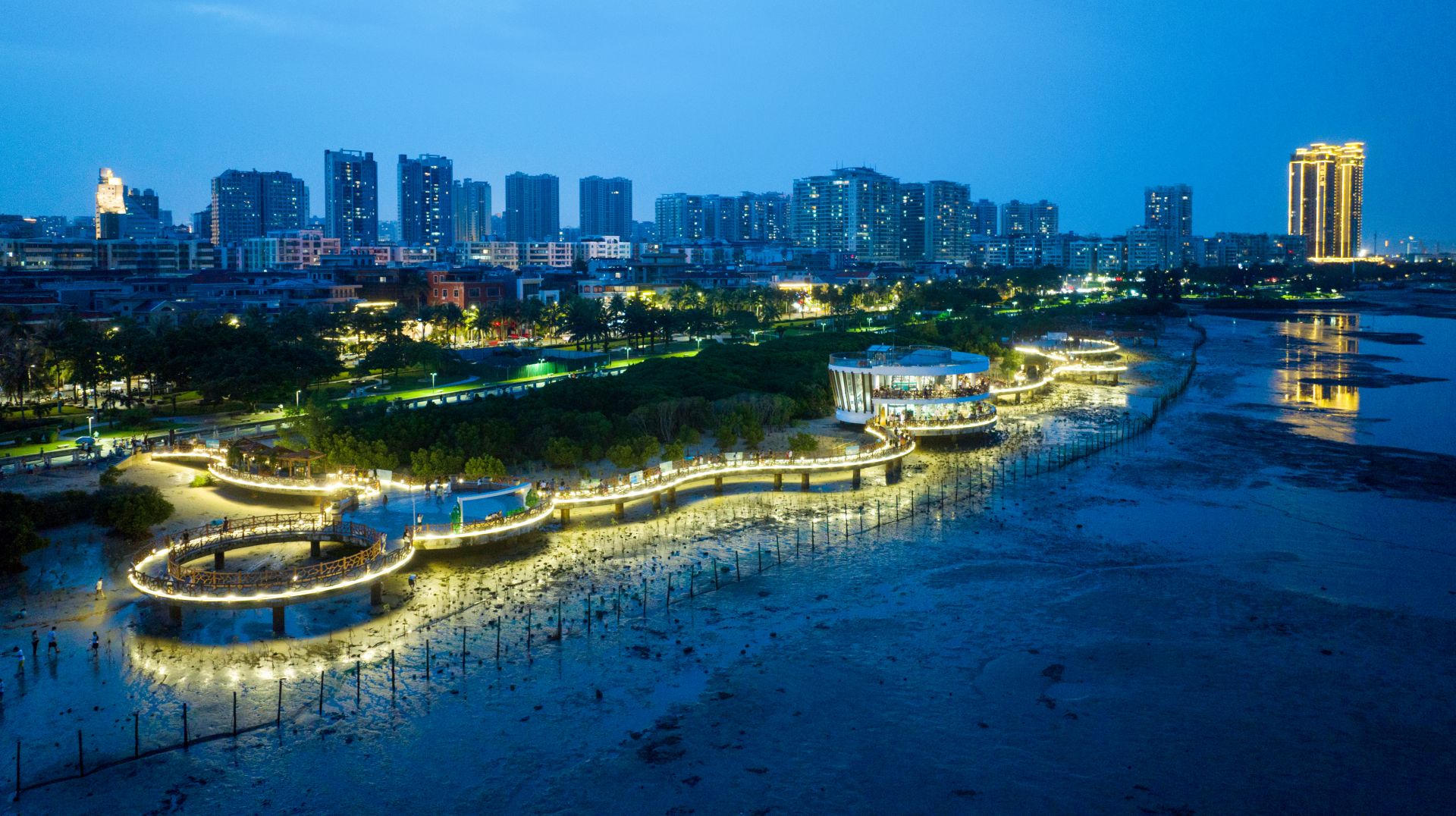 滨海之美 又添一景！红树林与海洋科普馆试运营