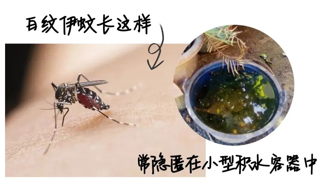 微信图片_20250714095916.jpg