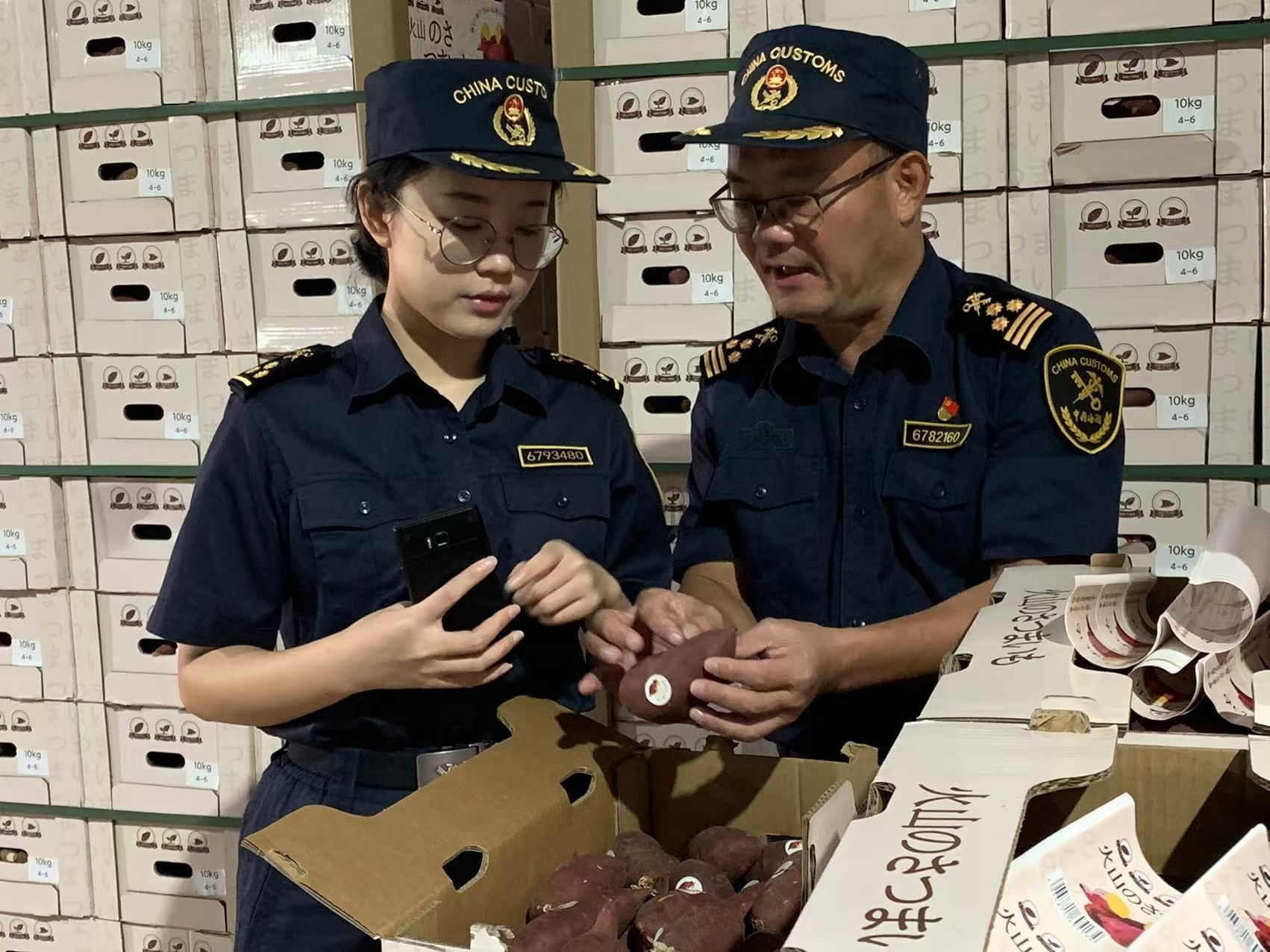 湛江海关护航“甘薯出海”  助力“湛品”香飘海外