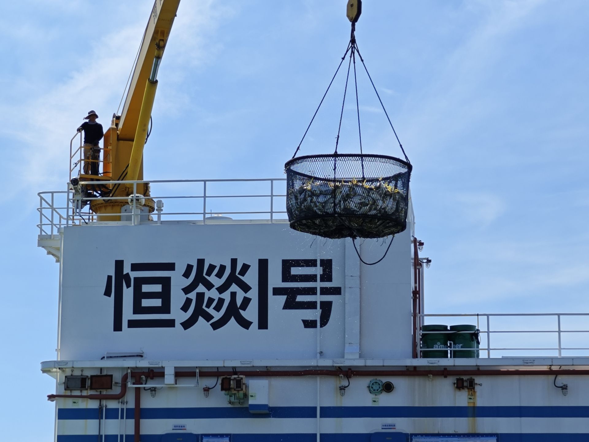 “恒燚1号”迎来投产后首个丰收季  深海珍馐起捕上市