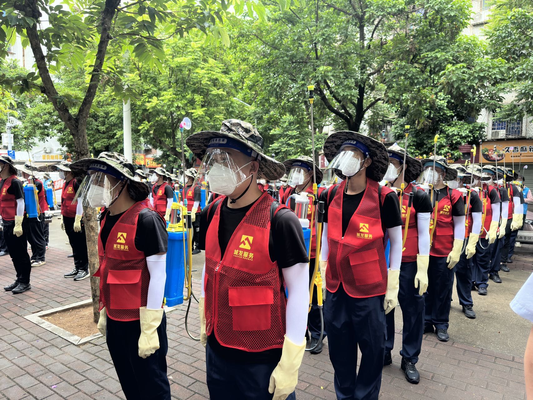 齐心协力防蚊灭蚊