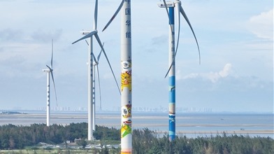 风车醒狮绘就生态旅游新景