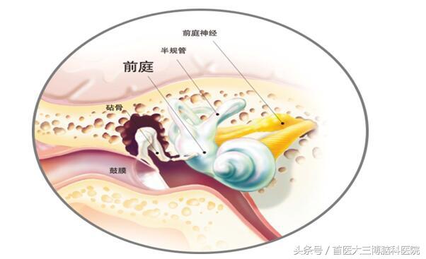 身体发出这些信号，可能是你的耳朵在“求救”！