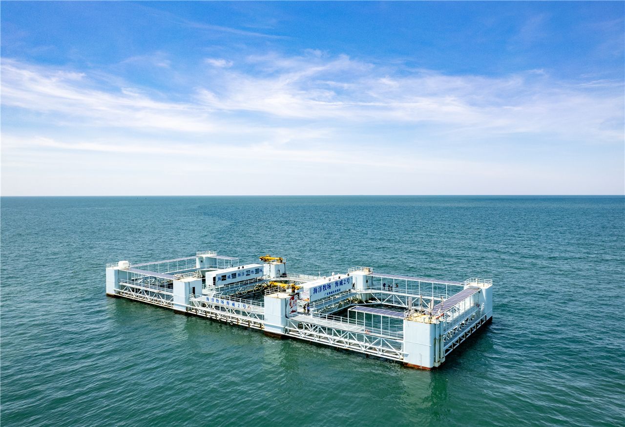 9.55亿元国开行授信助力海洋牧场建设