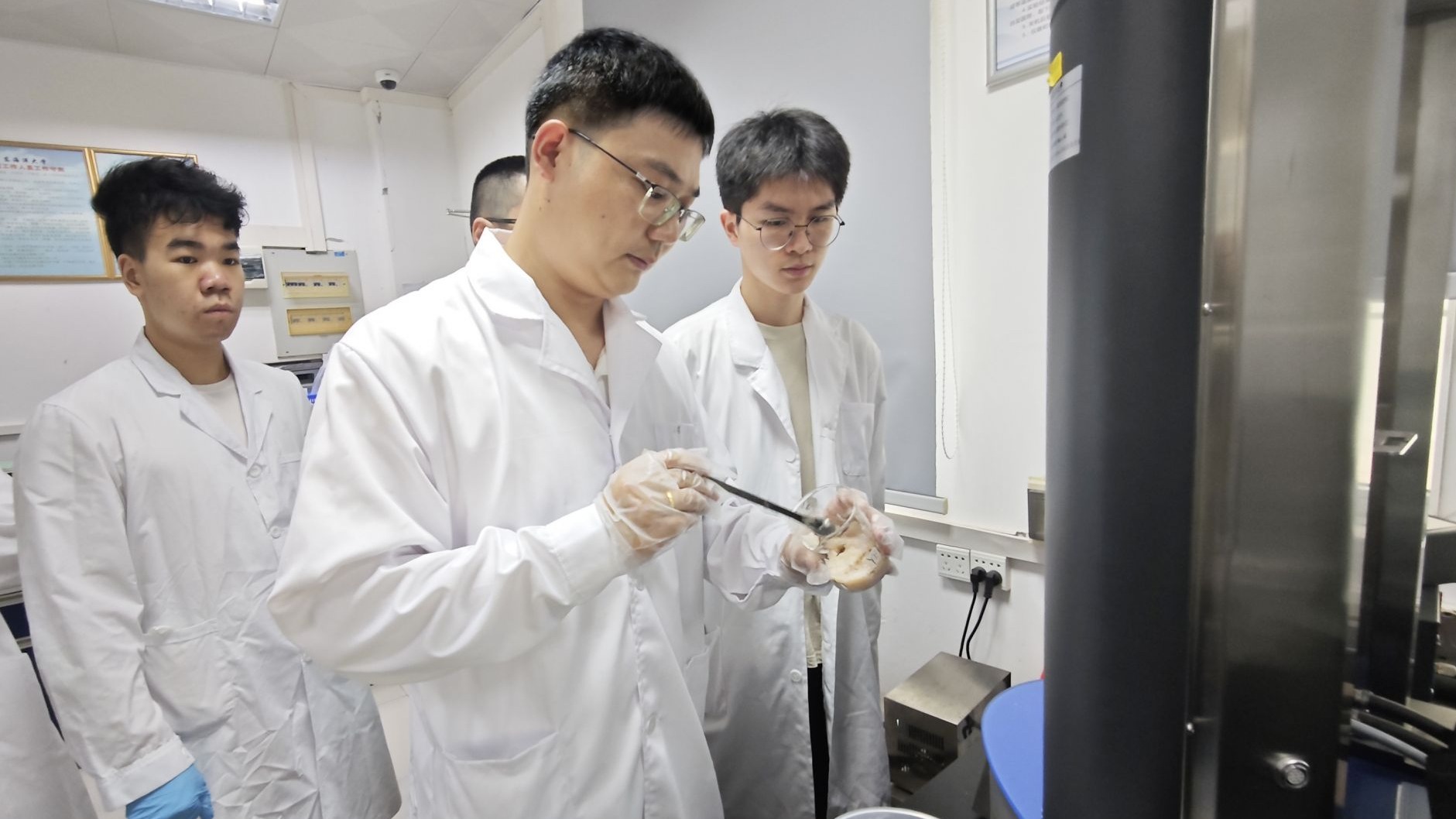 对话“香江学者计划”入选者王辉、赵雅楠：两位青年学者的科研之路
