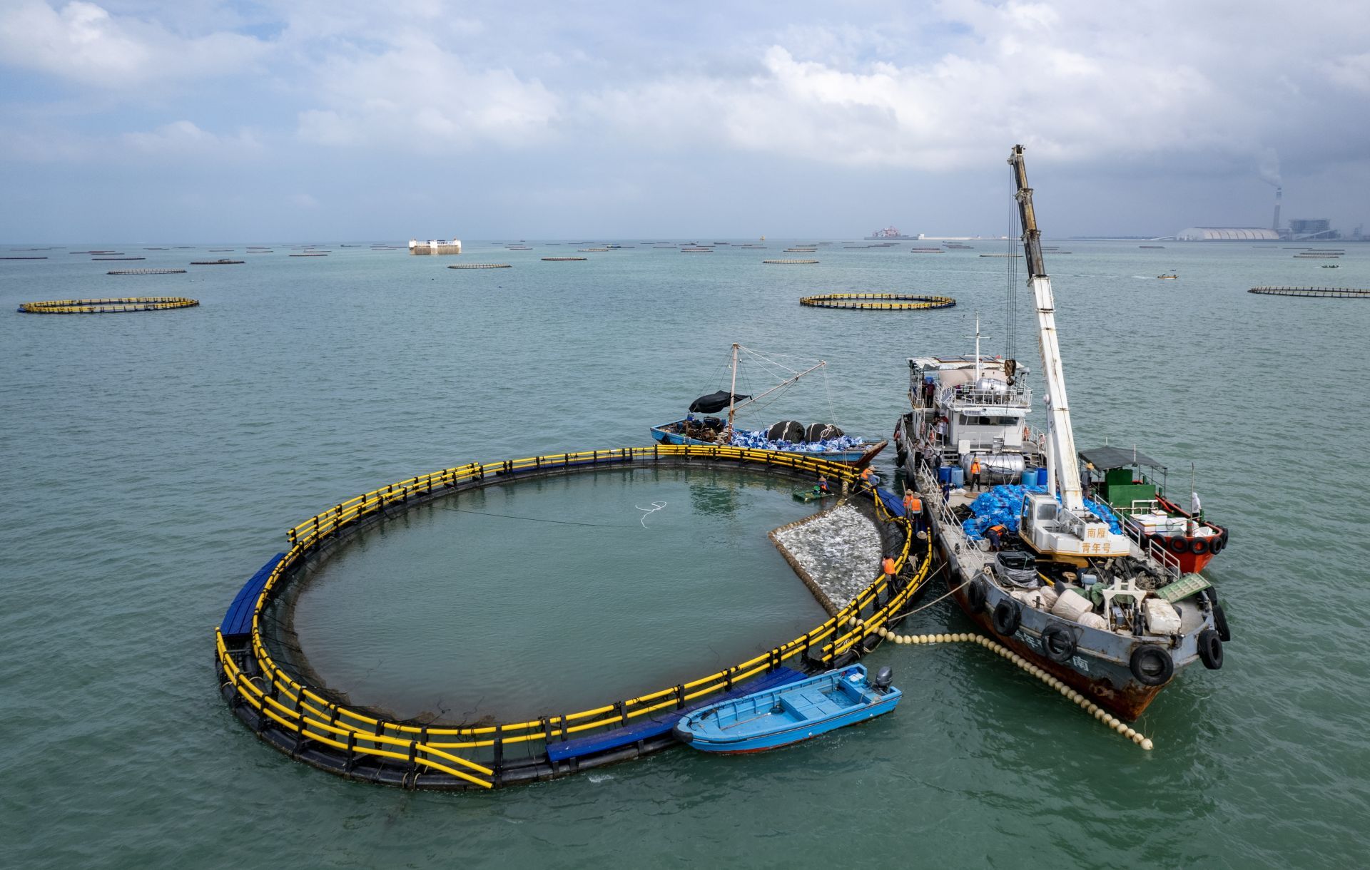 雷州流沙灣奏響海洋牧歌