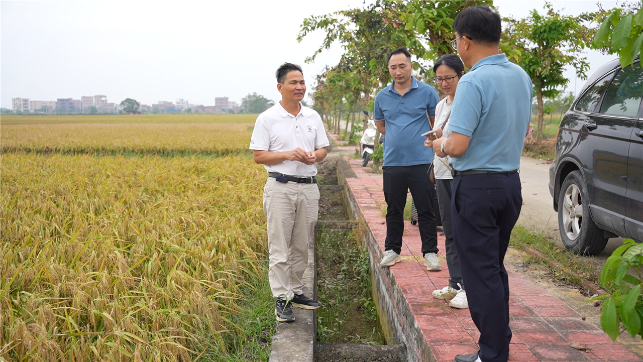 湛江日?qǐng)?bào)社發(fā)起“愛(ài)心幫扶聯(lián)盟”解農(nóng)戶燃眉之急