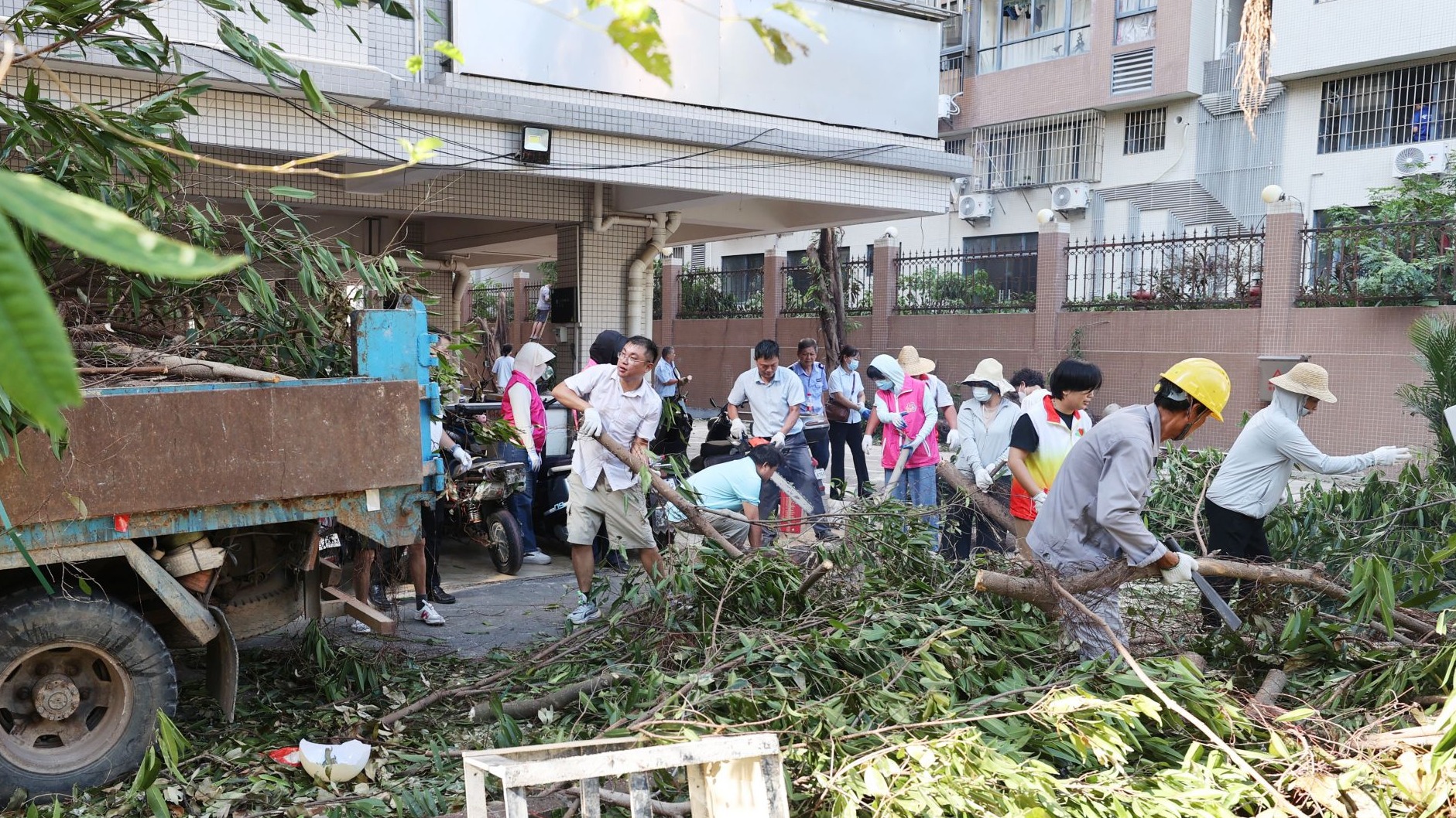湛江“爱国卫生日”持续发力 全力守护健康家园