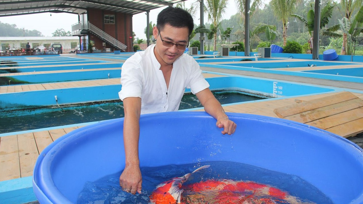 吴川:“乡贤引擎”驱动“百千万工程”加速跑