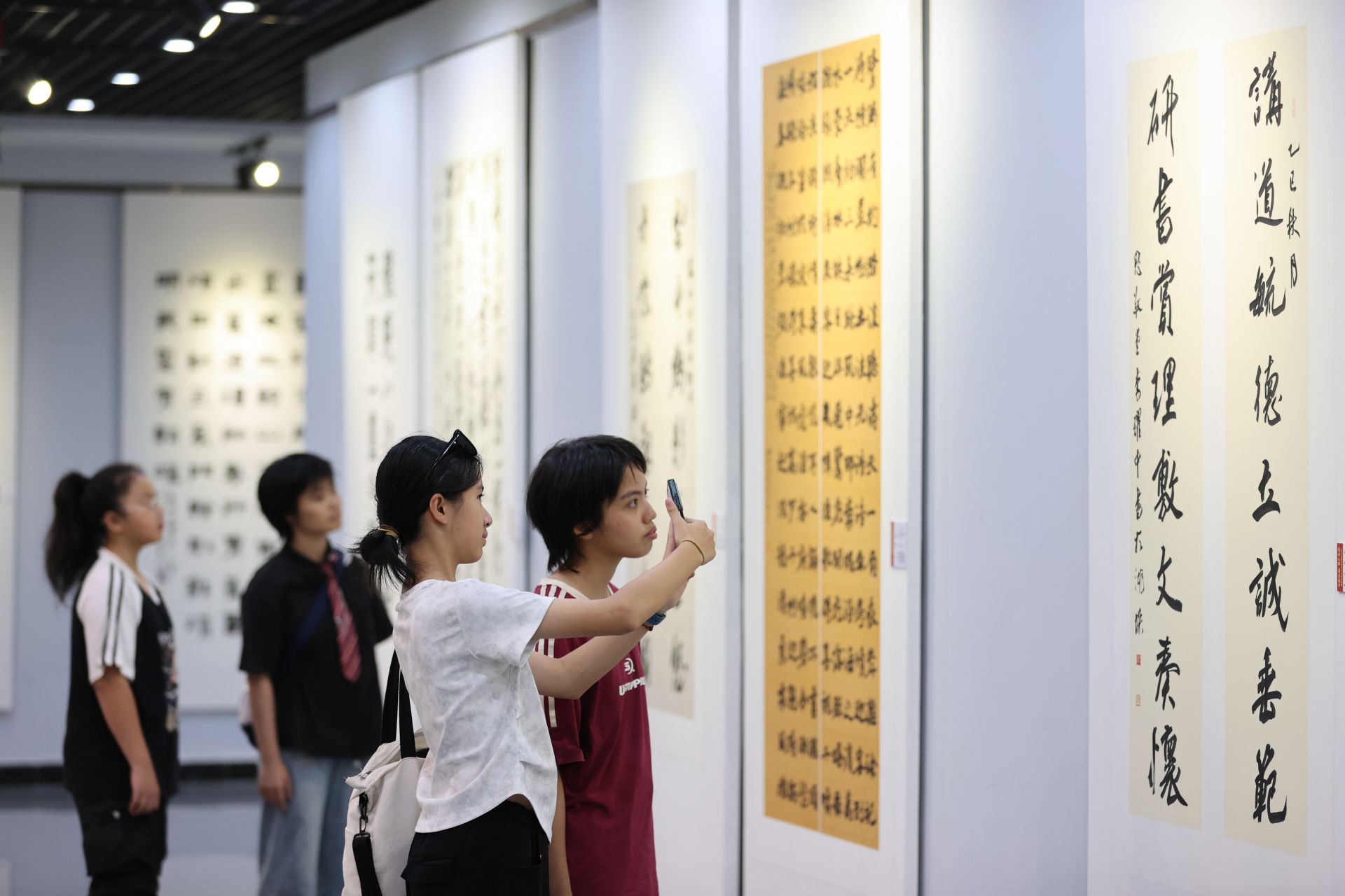 全国中青年书法家邀请展在湛开展