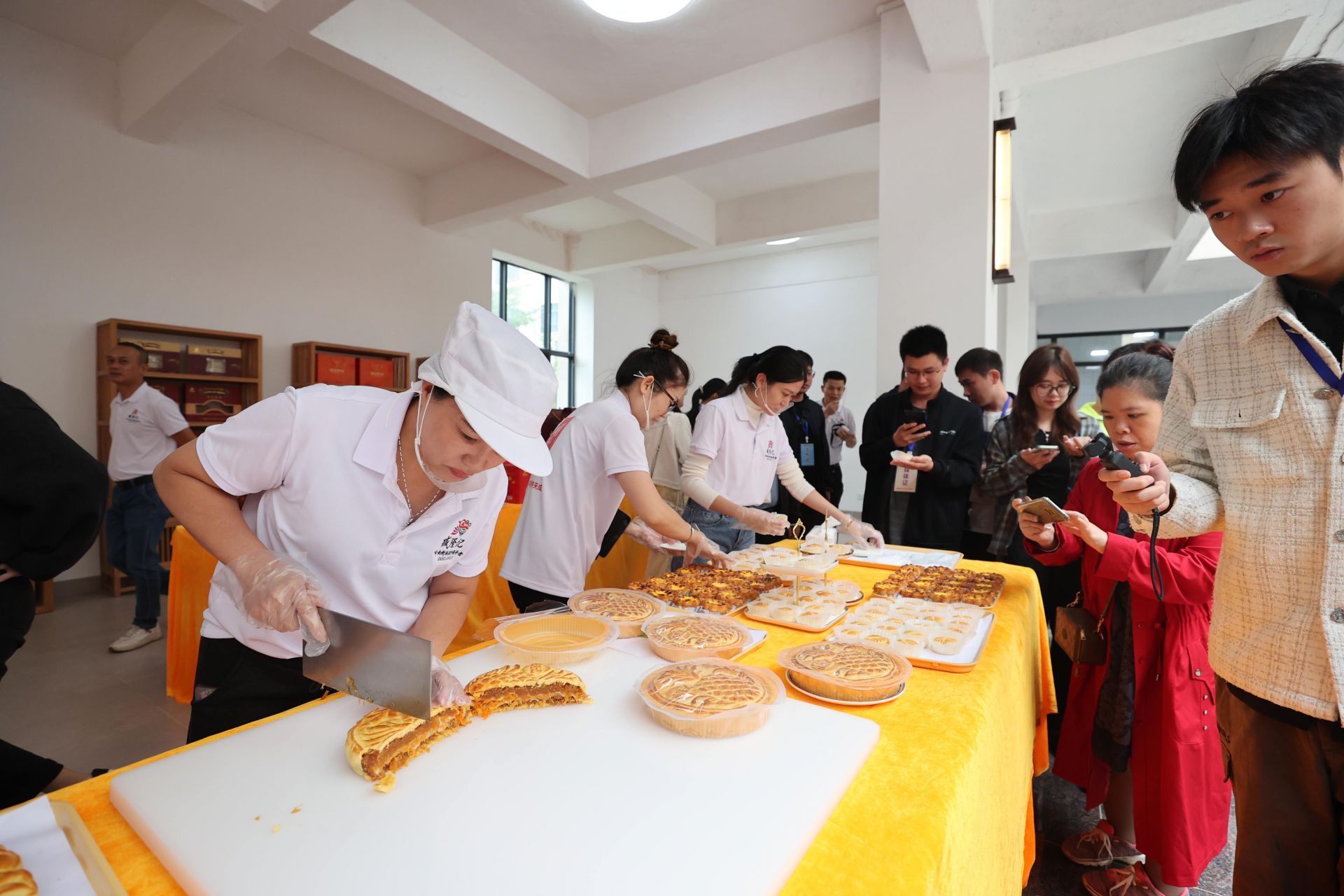 全國媒體聚焦雷州采風活動圓滿收官
