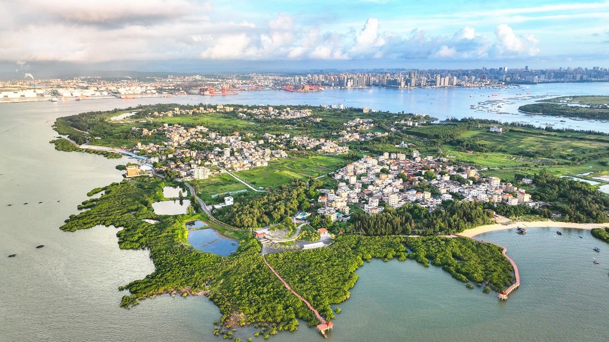 霞山区实施“百千万工程”三年蝶变 中心城区绘就城乡共富新图景