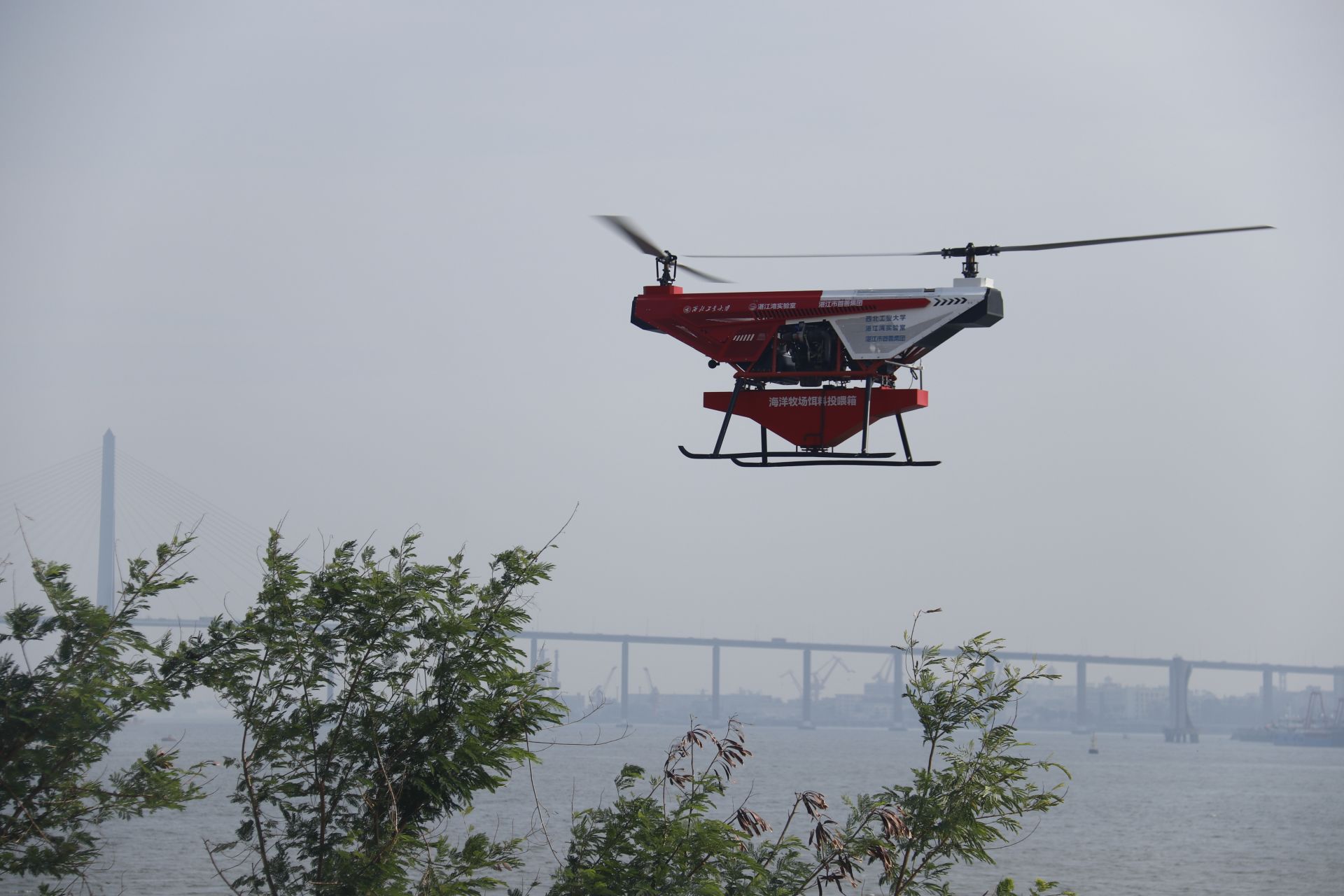 湛江首架海洋牧场配套无人机首飞